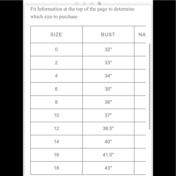 NWT BHLDN Venice Dress size 4 - Picture 5 of 16